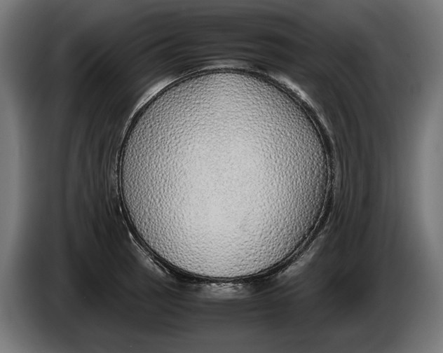 X0000086091137200704132119