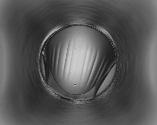 X0000086091138200704132119