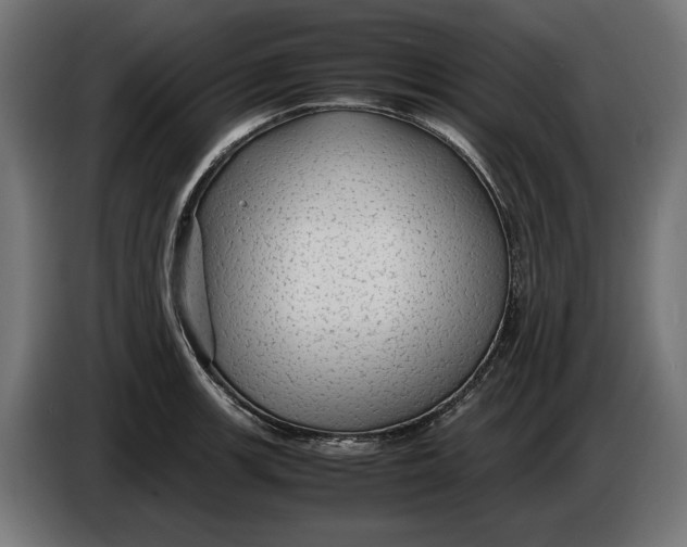 X0000086091139200704132119