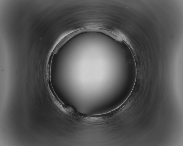 X0000086091140200704132119