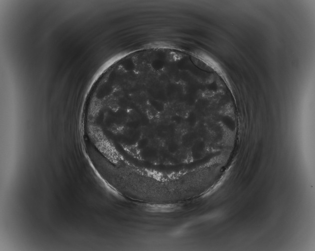 X0000086091141200704132119