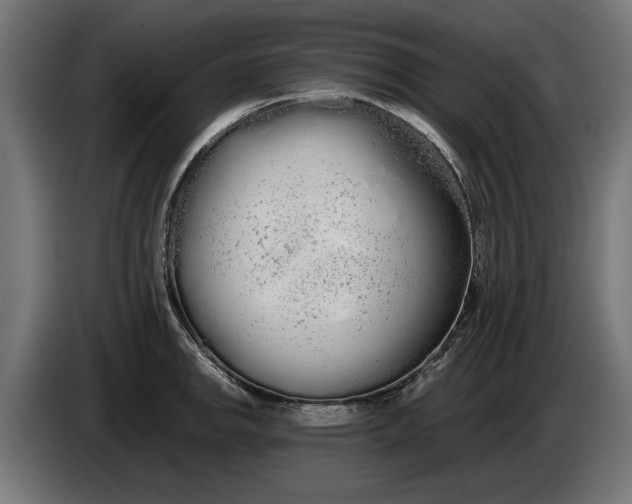 X0000086091142200704132119