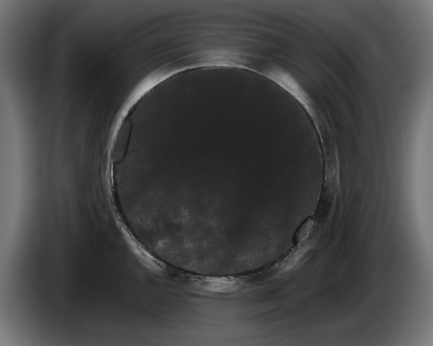 X0000086091144200704132119