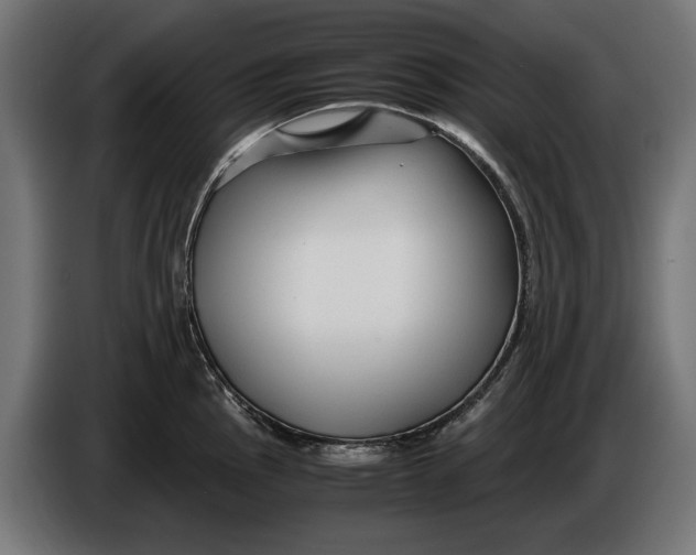 X0000086091145200704132119