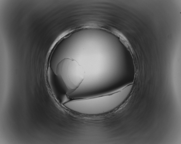 X0000086091146200704132119