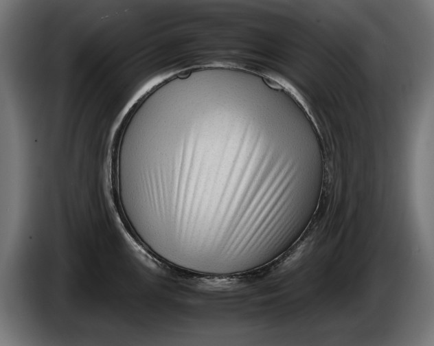 X0000086091147200704132119