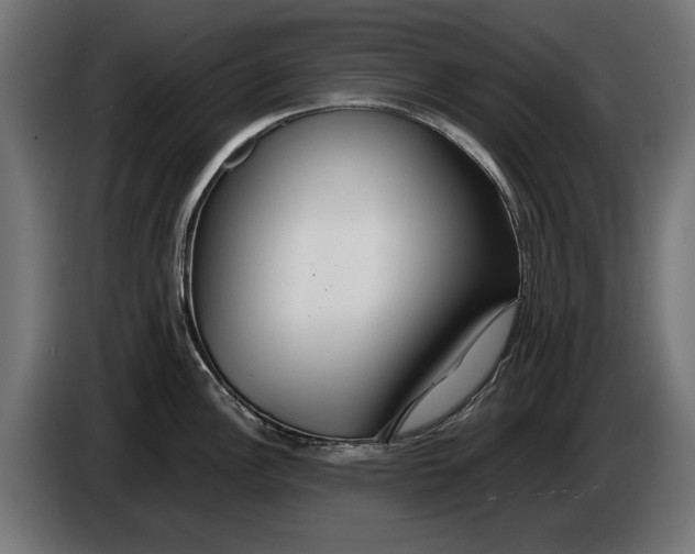 X0000086091148200704132120