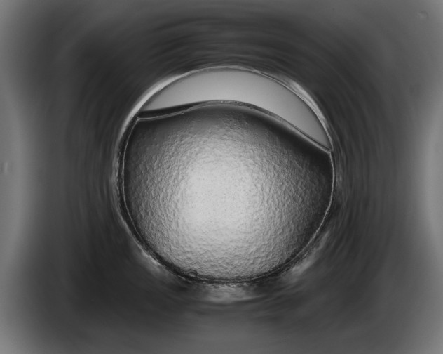 X0000086091149200704132120