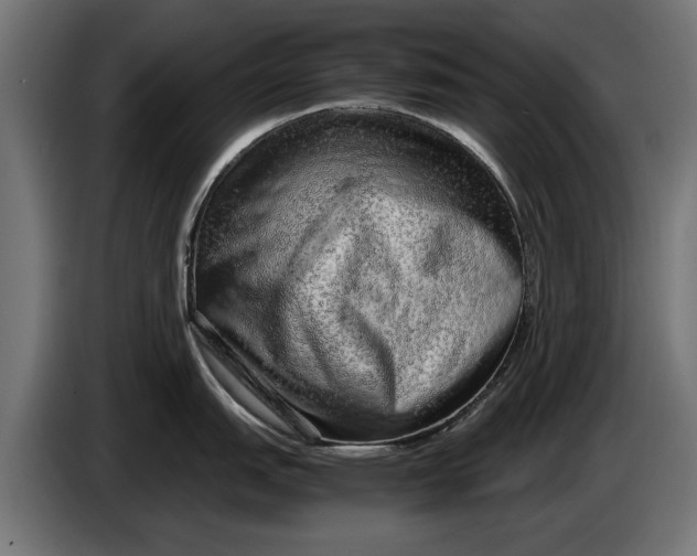 X0000086091151200704132120