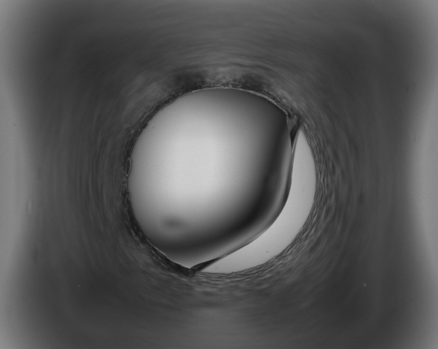 X0000086091153200704132119