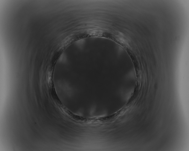 X0000086091154200704132119