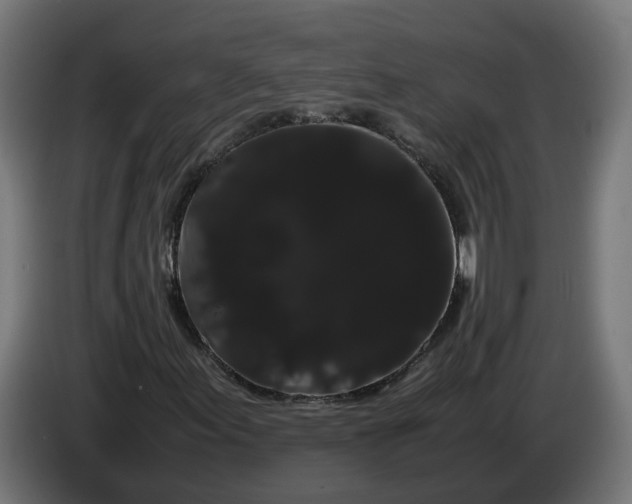 X0000086091155200704132119