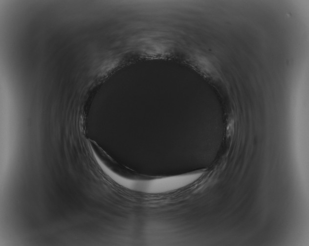 X0000086091156200704132119