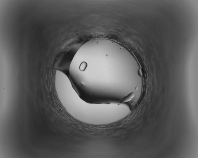 X0000086091157200704132119