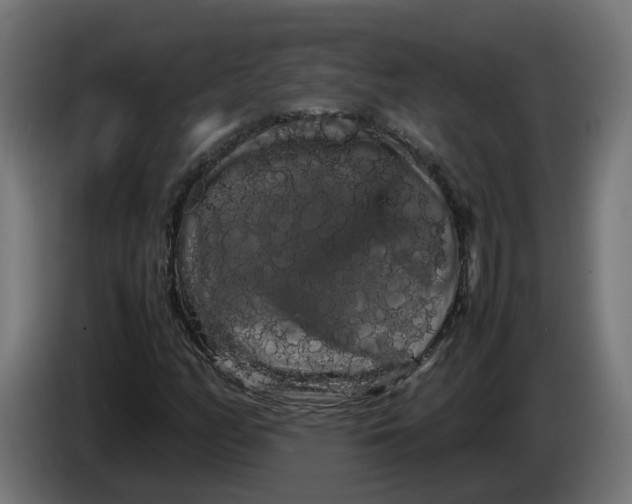 X0000086091158200704132119