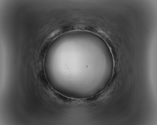 X0000086091159200704132119