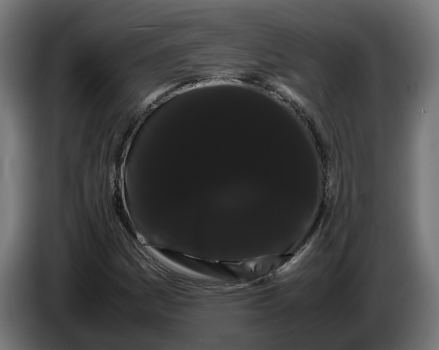 X0000086091161200704132119