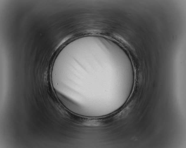 X0000086091162200704132119