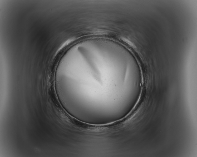 X0000086091163200704132119