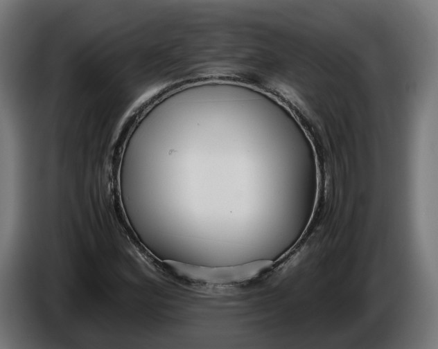 X0000086091164200704132119