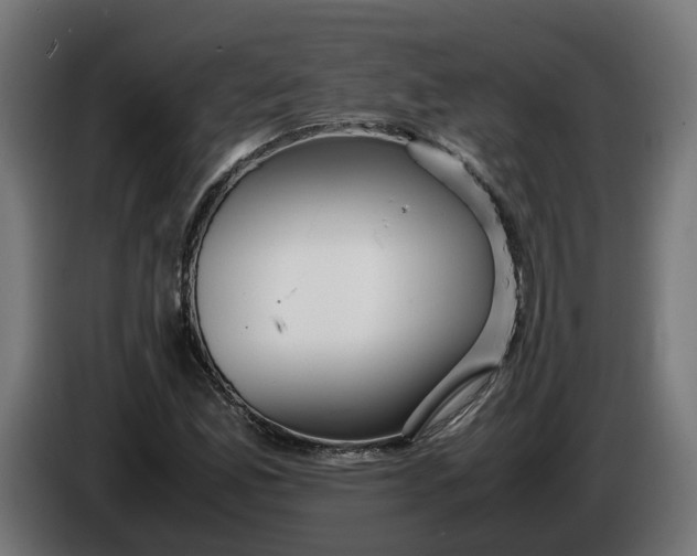 X0000086091165200704132119