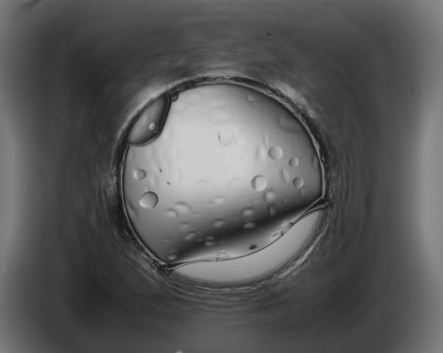 X0000086091167200704132119