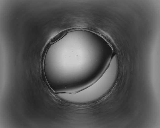 X0000086091168200704132119