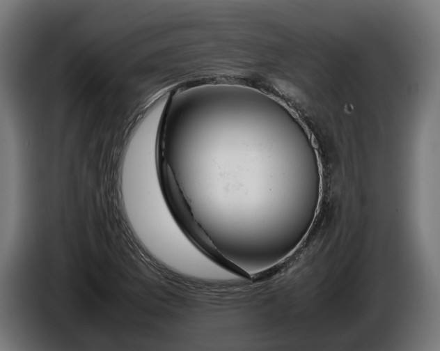 X0000086091169200704132119