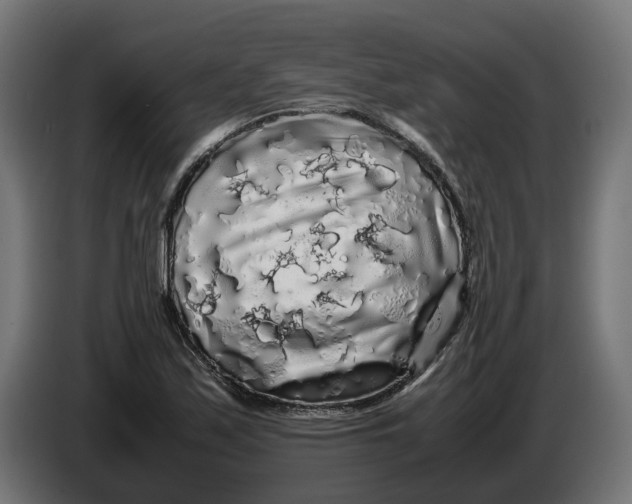 X0000086091171200704132119