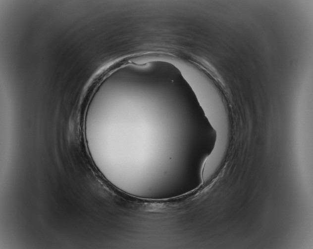 X0000086091172200704132119