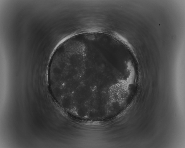 X0000086091174200704132119