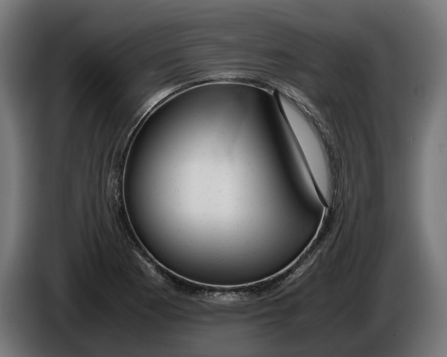 X0000086091177200704132119