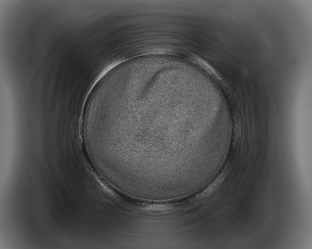 X0000086091178200704132119