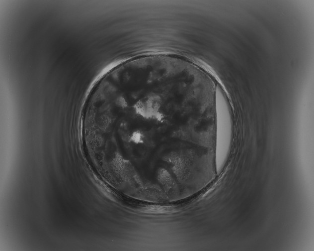 X0000086091179200704132119