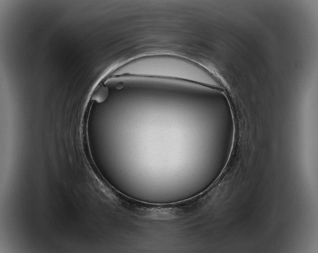 X0000086091181200704132119