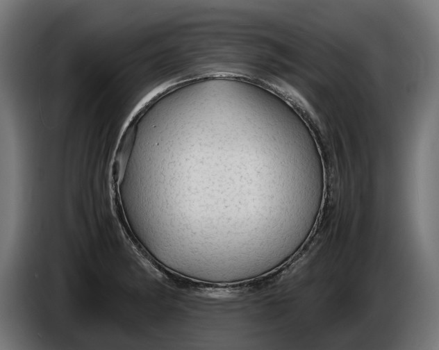 X0000086091182200704132118