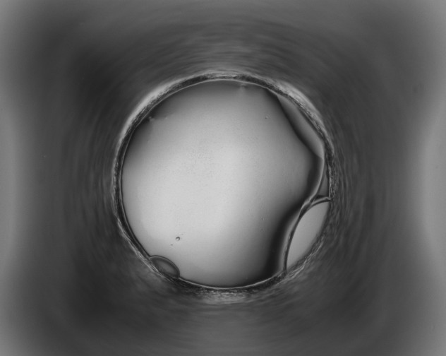 X0000086091183200704132118