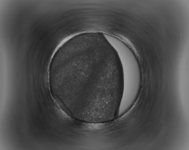 X0000086091184200704132118