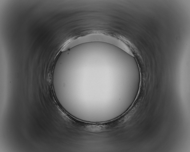 X0000086091185200704132118