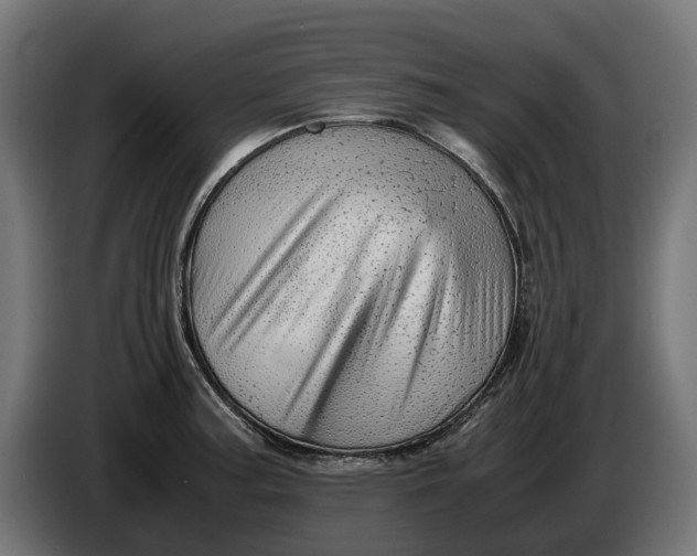 X0000086091187200704132118