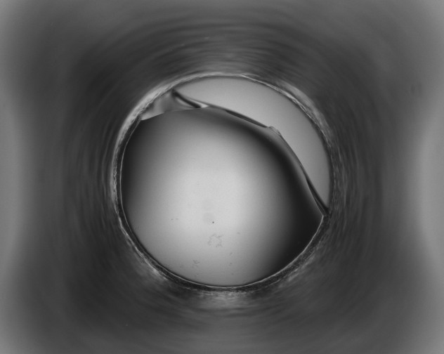 X0000086091188200704132118