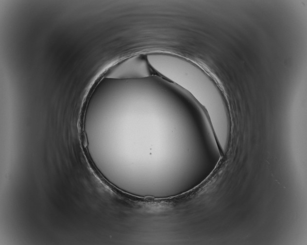 X0000086091189200704132118