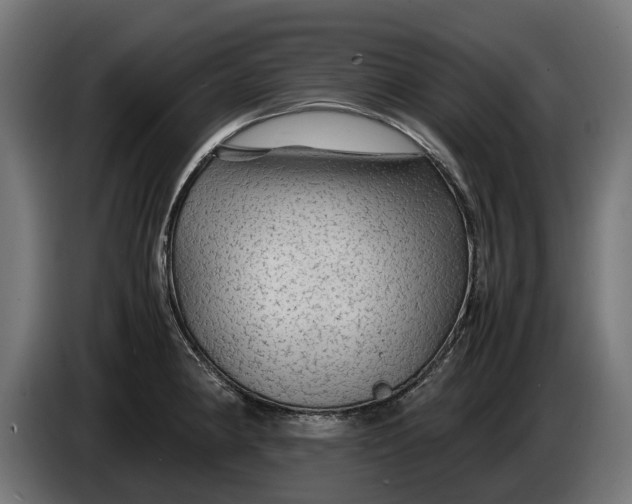 X0000086091190200704132118