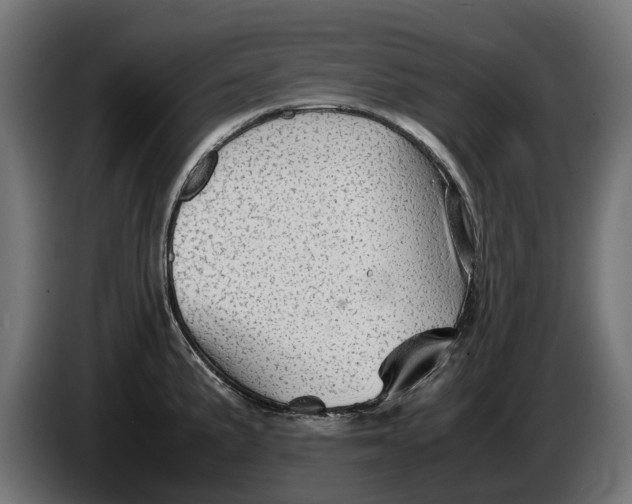 X0000086091191200704132118