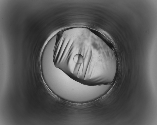 X0000086091192200704132118