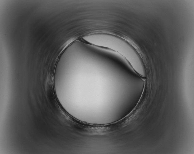 X0000086091193200704132118