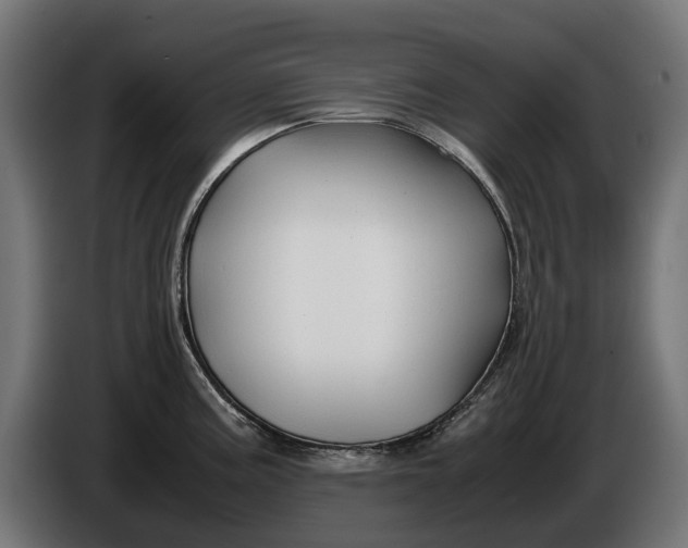 X0000086091195200704132118