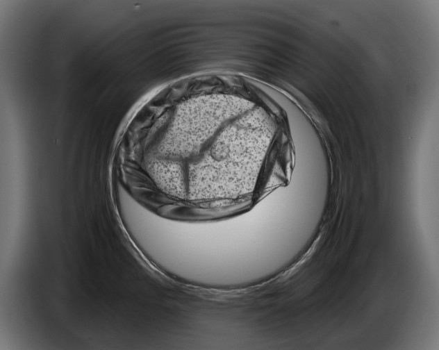 X0000086091196200704132118