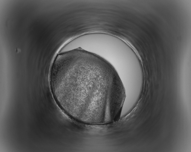 X0000086091197200704132118