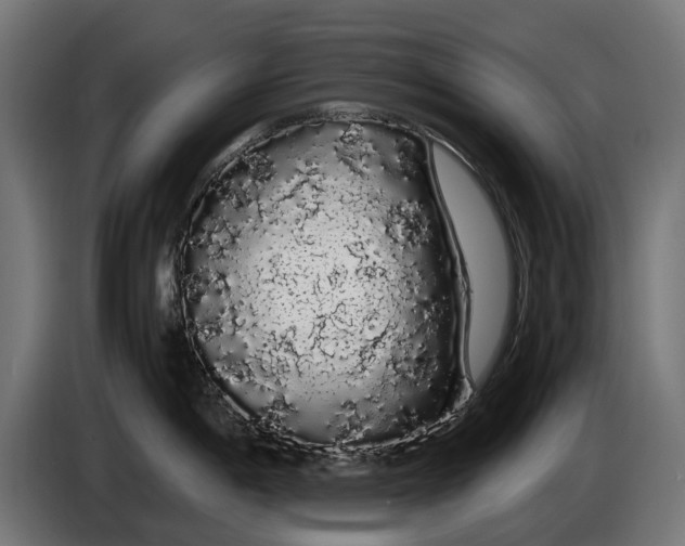 X0000086091198200704132118